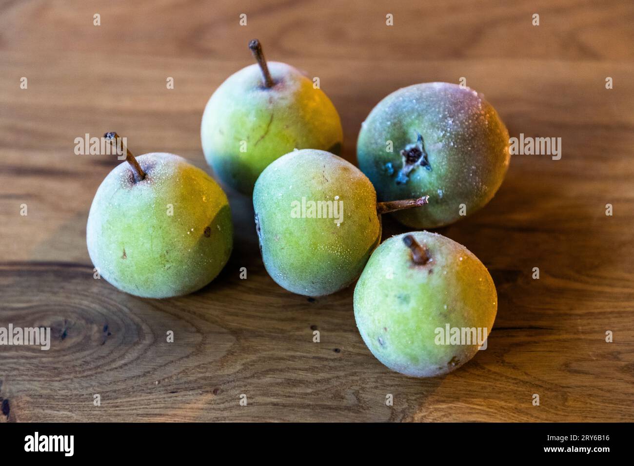 La Poire à Botzi AOC è una piccola pera, una varietà friburghese e il primo frutto svizzero a denominazione AOC. Da un germoglio cresce un gruppo di fino a cinque pere. L'azienda agricola Schwaller offre pere Büschli come specialità locale a Sankt Antoni, Svizzera Foto Stock