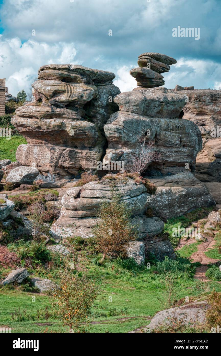 Erosione glaciale che mostra piani geologici di lettiera nella graniglia di pietra di Brimham Rocks, Nidderdale, North Yorkshire, Regno Unito Foto Stock