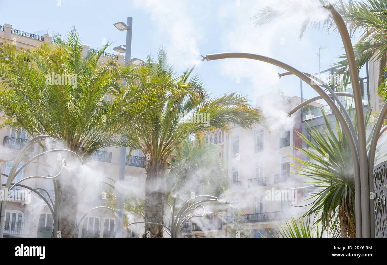 Plaza de la Reina e la Cattedrale di Santa Maria nel centro storico di Valencia, Spagna. Foto Stock