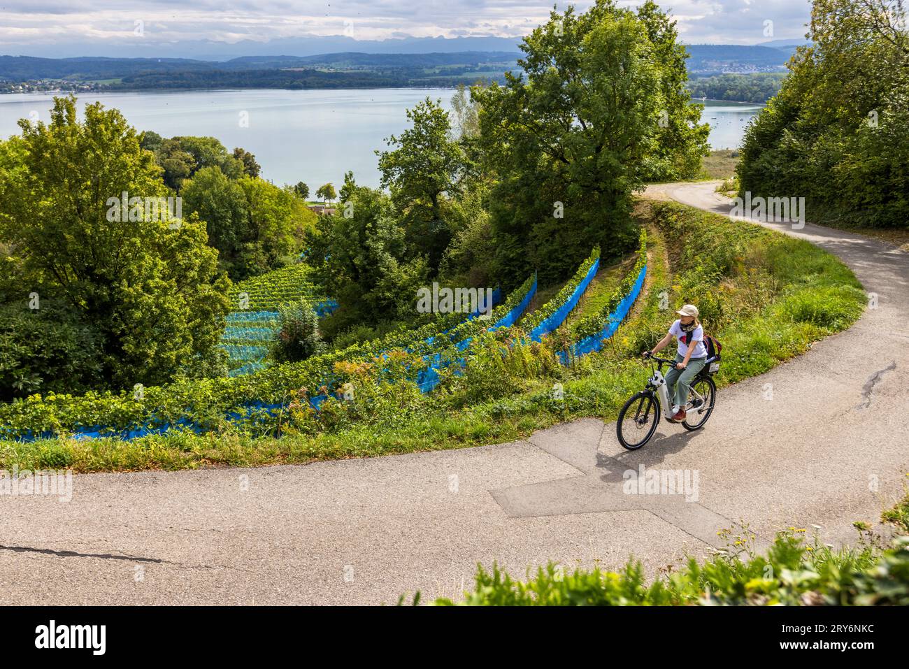 Vully-les-Lacs, Svizzera Foto Stock