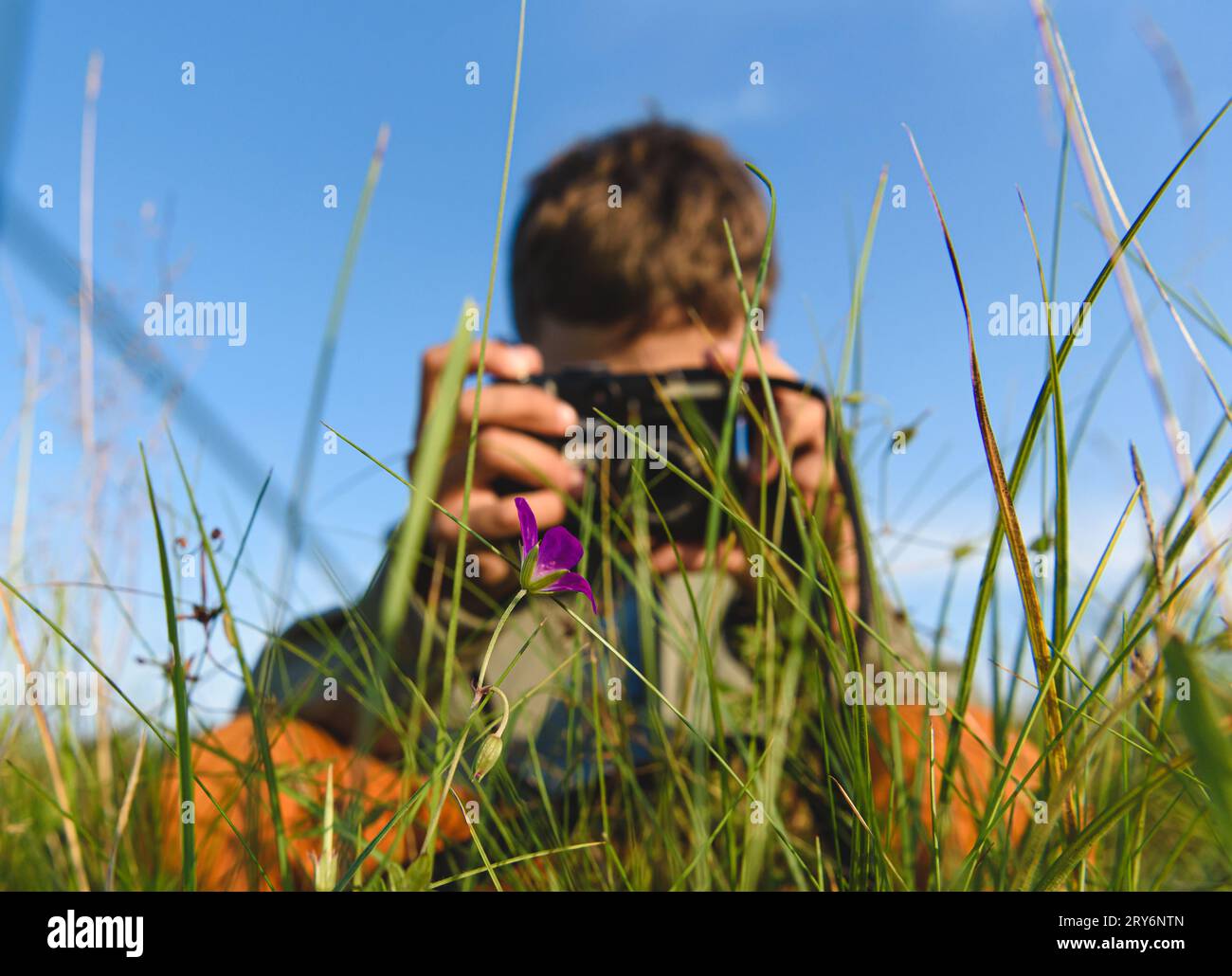 Giovane fotografo che impara a fotografare macro fotografare fiori nella natura Foto Stock