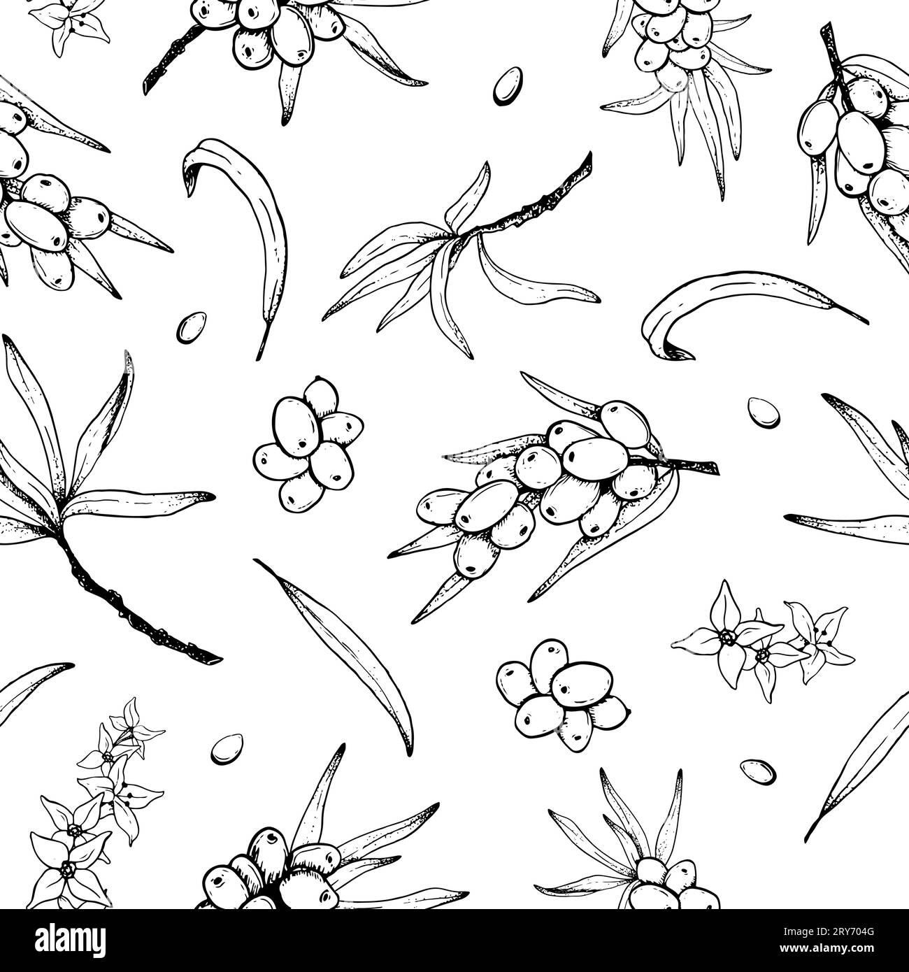 Struttura vettoriale senza cuciture con bacche marine, rami e foglie. Sfondo bianco e nero disegnato a mano Illustrazione Vettoriale