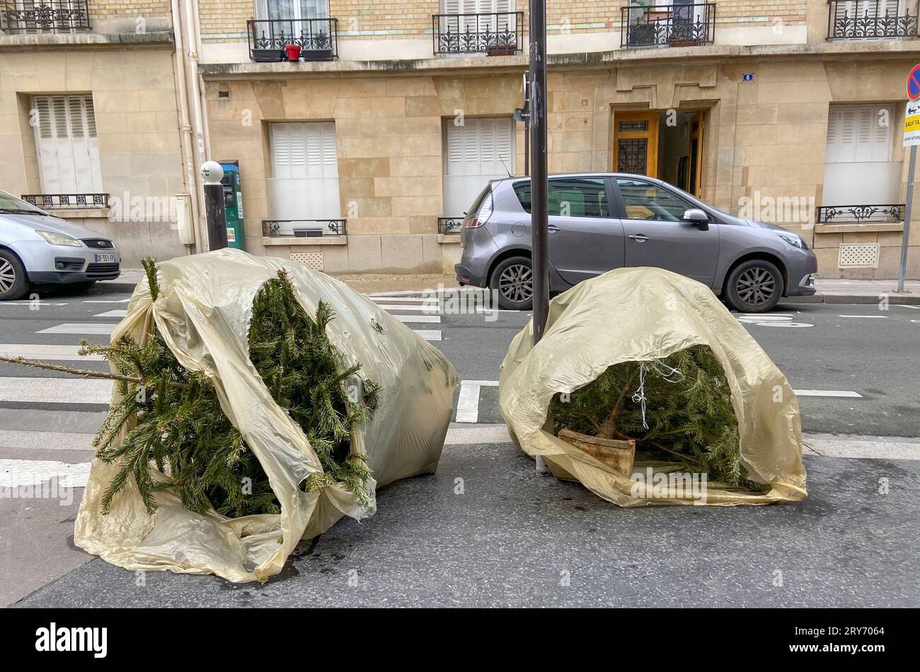 SMALTISCI IL TUO ALBERO DI NATALE A PARIGI Foto Stock