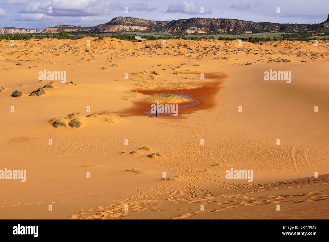 Turisti che esplorano le dune di sabbia dei coralli rosa Foto Stock