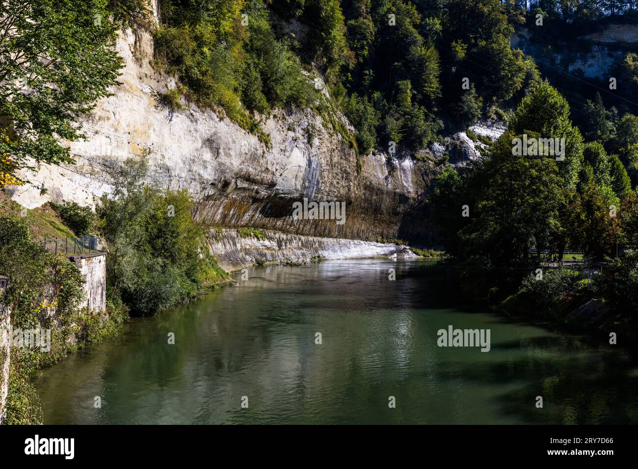 Il fiume Sarina ha scavato profondamente nel paesaggio vicino a Friburgo, in Svizzera, mettendo in esposizione scogliere di calcare e arenaria pallide. Pendii boscosi costeggiano il fiume su entrambi i lati. Foto Stock