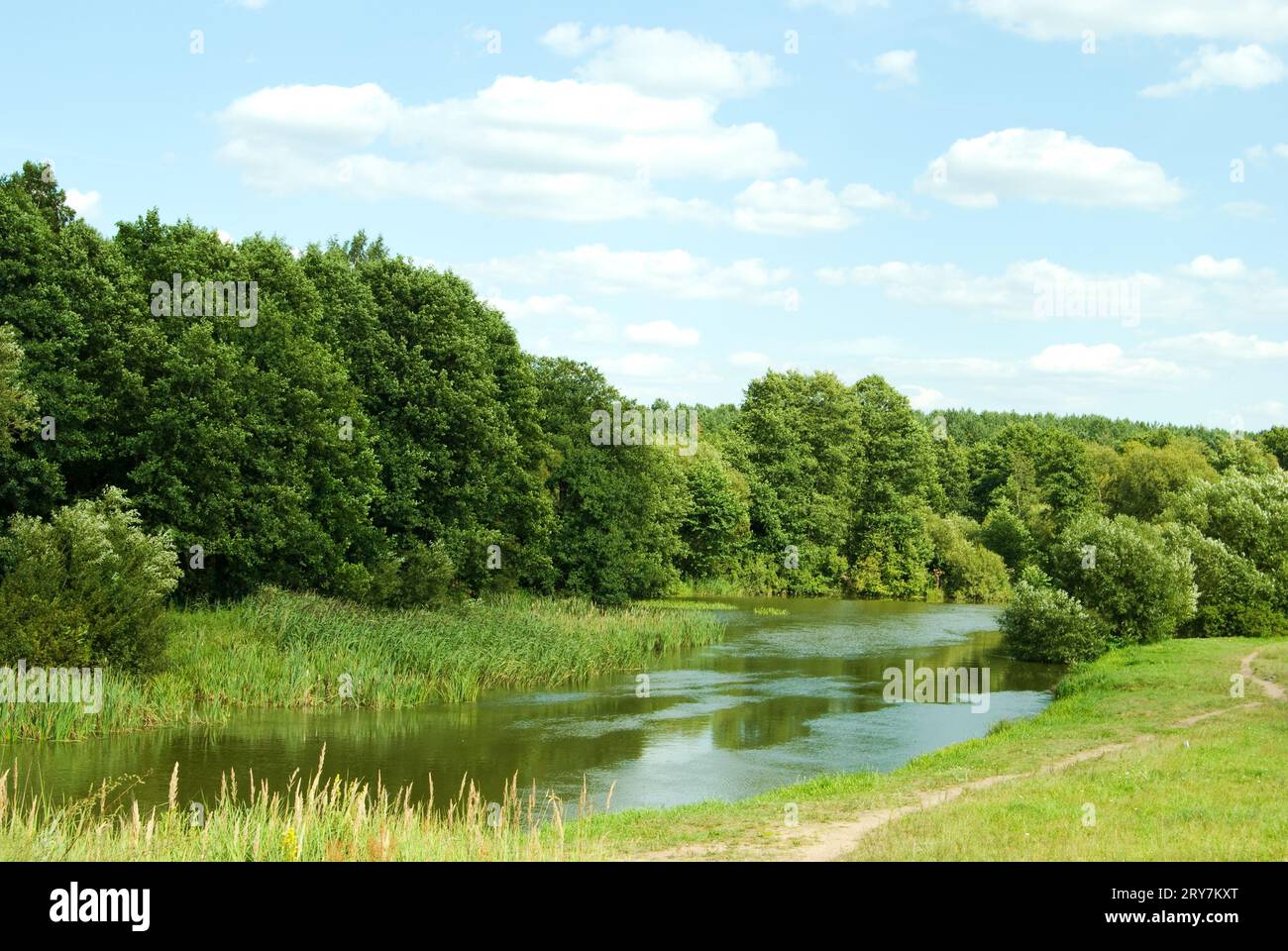 Paesaggio - giorno d'estate sul lungofiume Foto Stock