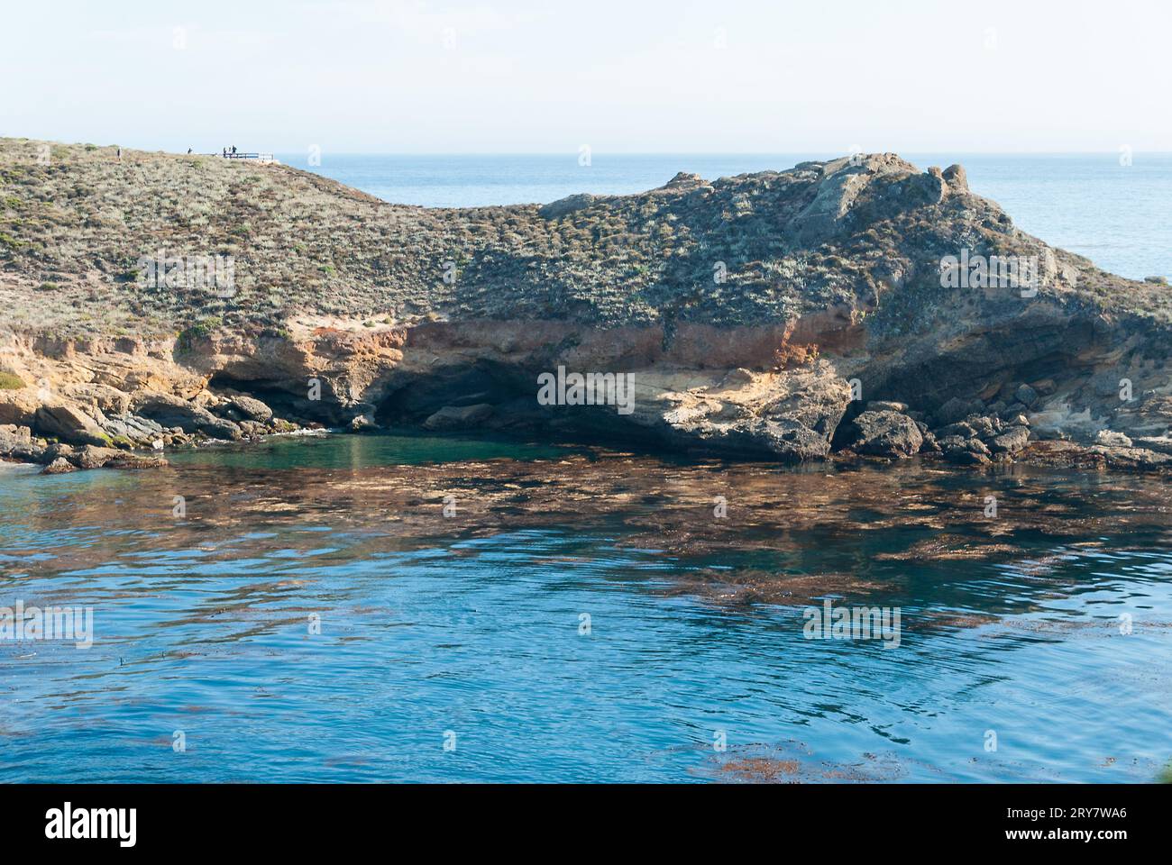 Riflesso di una costa rocciosa in una baia sull'oceano Pacifico Foto Stock