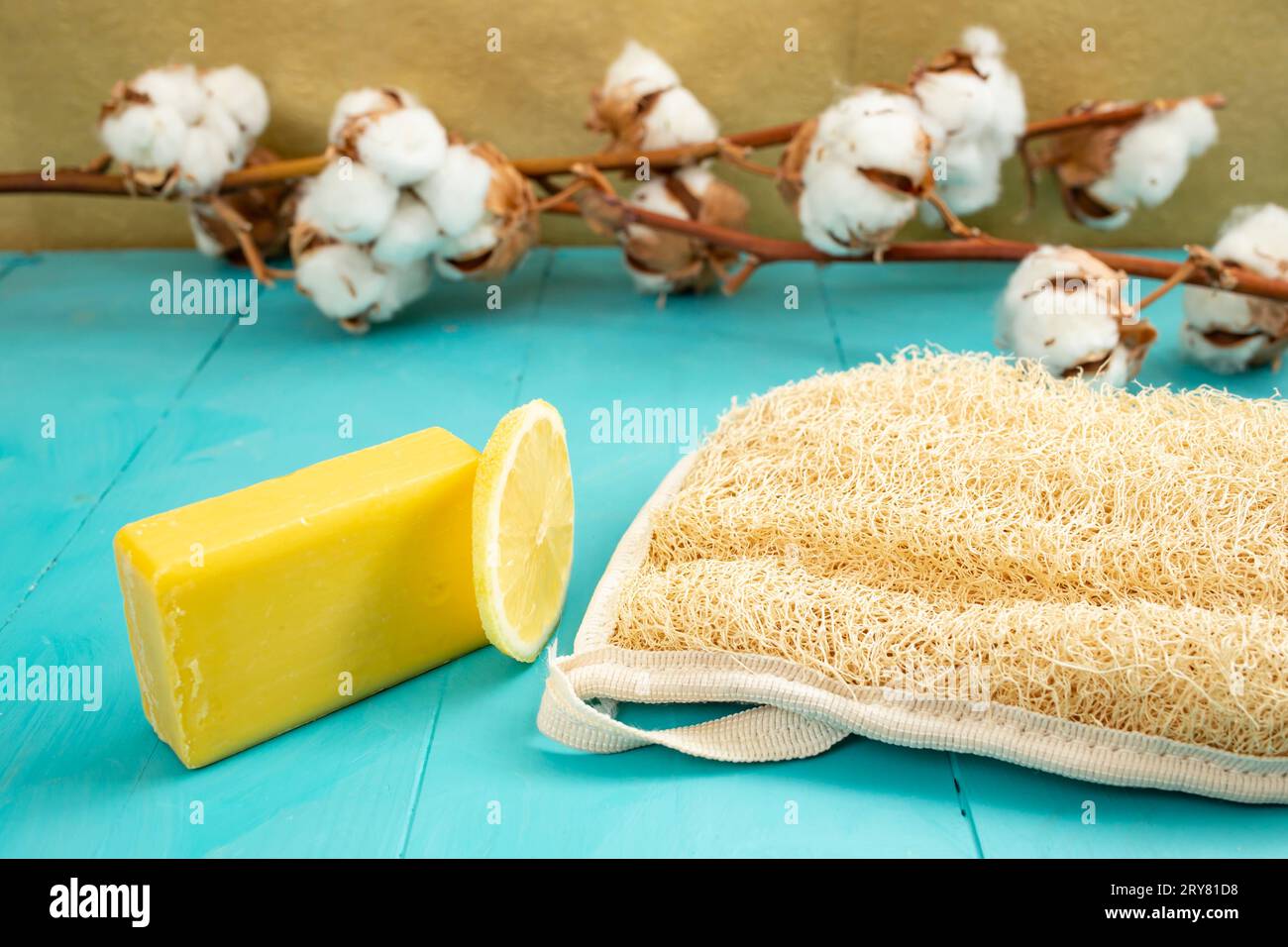 Sapone di limone e fetta di limone accanto a un bagno di loofah con fiori di cotone, foto del prodotto con vista laterale Foto Stock