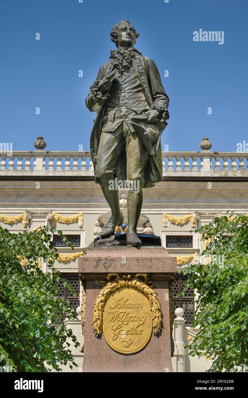 Denkmal Johann Wolfgang von Goethe, Naschmarkt, Lipsia, Sachsen, Deutschland Foto Stock