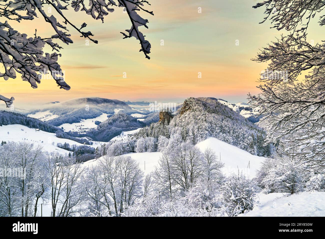 Belchenflue, montagna, parete rocciosa, Ankenballen, vicino a Eptingen, Giura, Cantone di Baselland, Svizzera Foto Stock