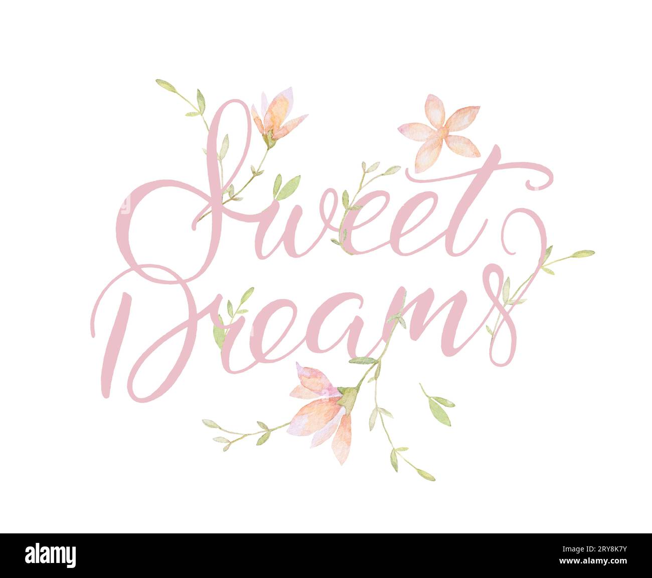 Scritta Sweet Dreams Baby, Acquerello fiori selvatici, lettere Baby Card, sfondo bianco, qualità di stampa Foto Stock