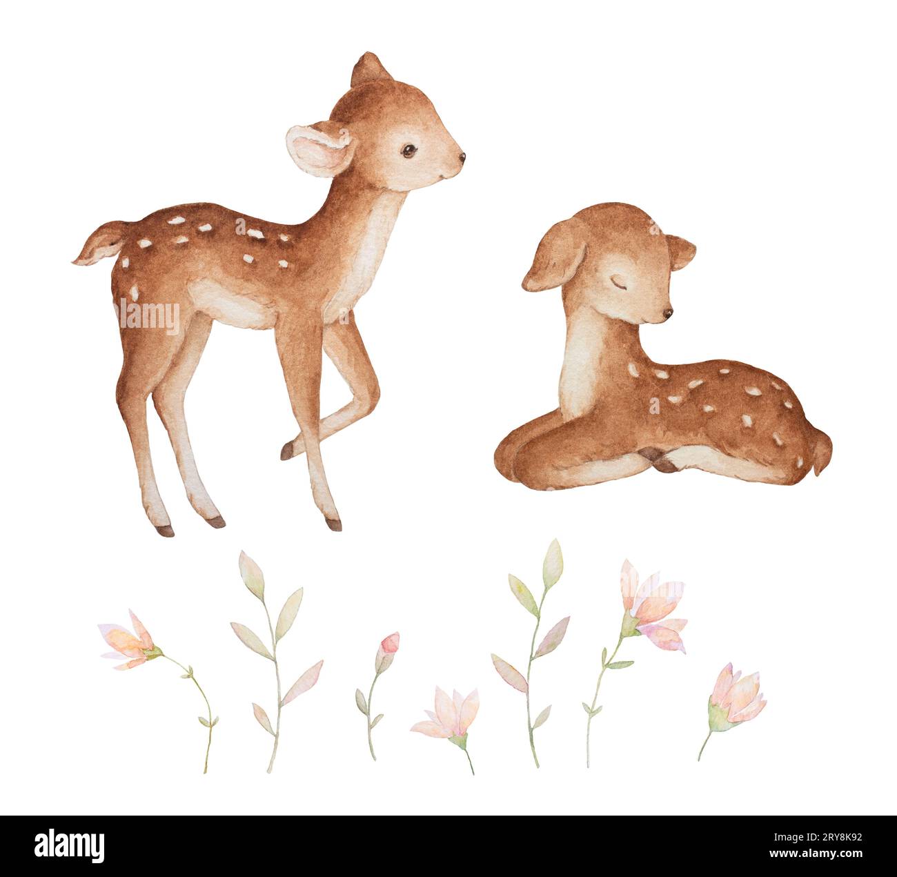 Illustrazioni acquerello Baby Deer, Acquerello Wildflowers, Set Acquerello Cervo, Baby Clipart Foto Stock