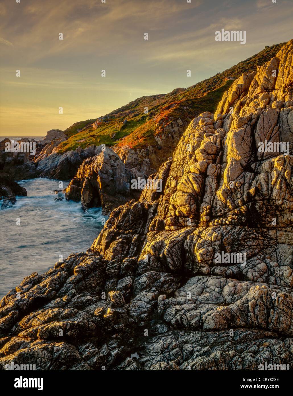 Affioramento di granito, Garrapata State Park, Big Sur, Monterey County, California Foto Stock