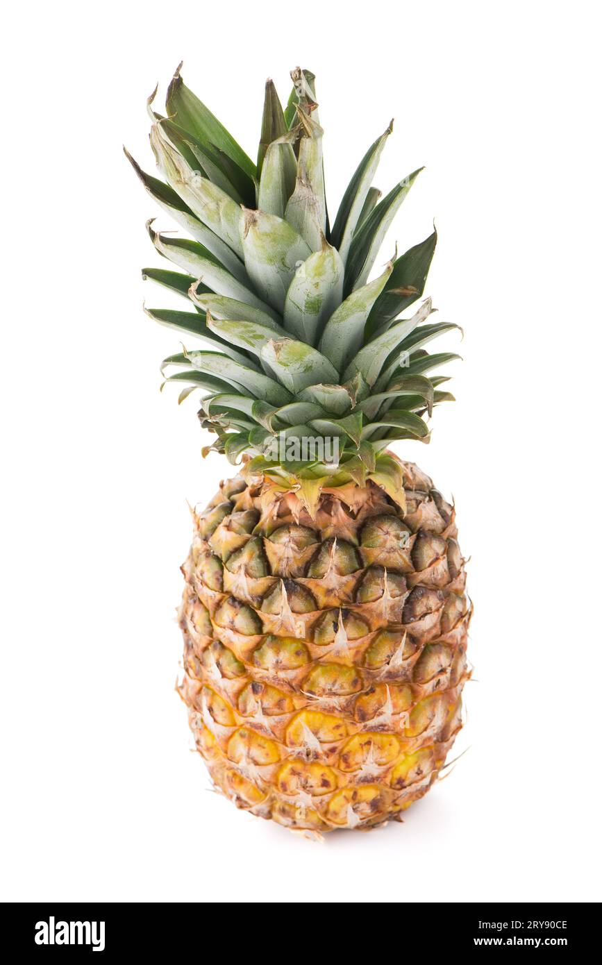Ananas Foto Stock
