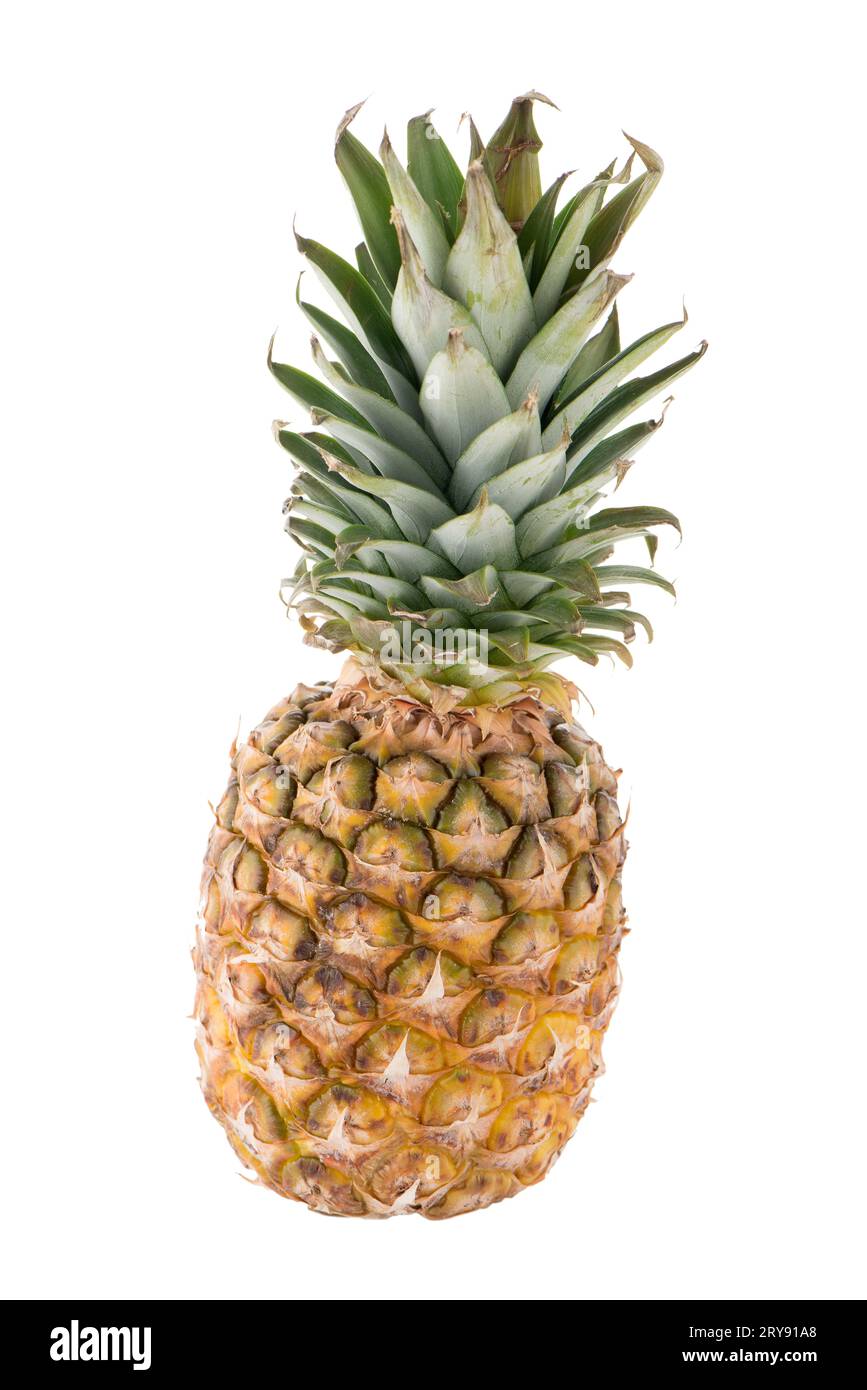 Ananas Foto Stock