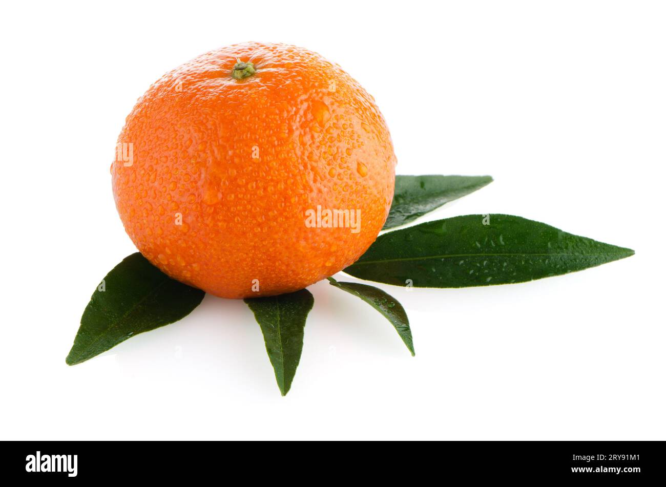 mandarino all'arancia fresco Foto Stock