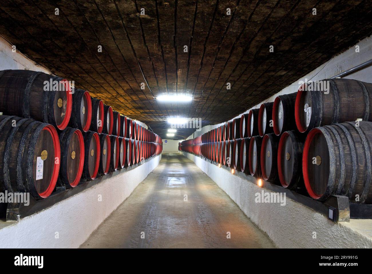 Le botti di vino conservate presso le antiche gallerie sotterranee di pietra calcarea dell'azienda vinicola Cricova a Cricova, Moldavia Foto Stock