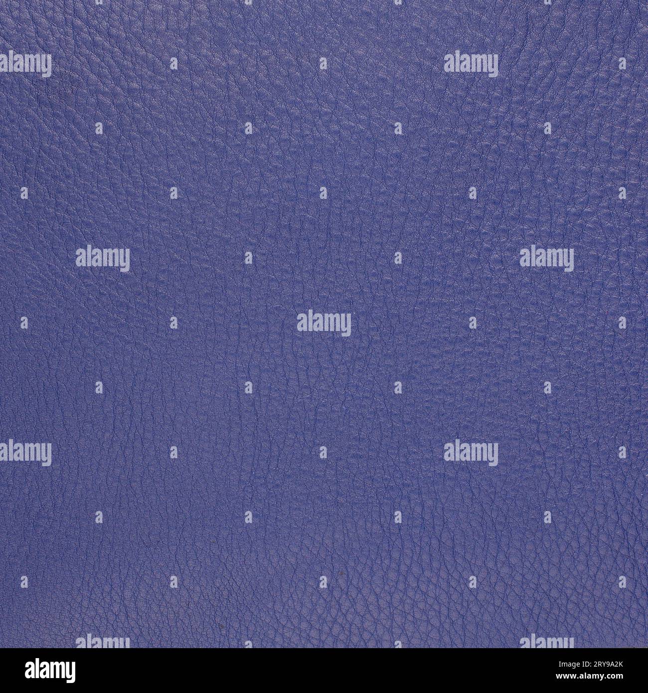 Pelle viola Foto Stock