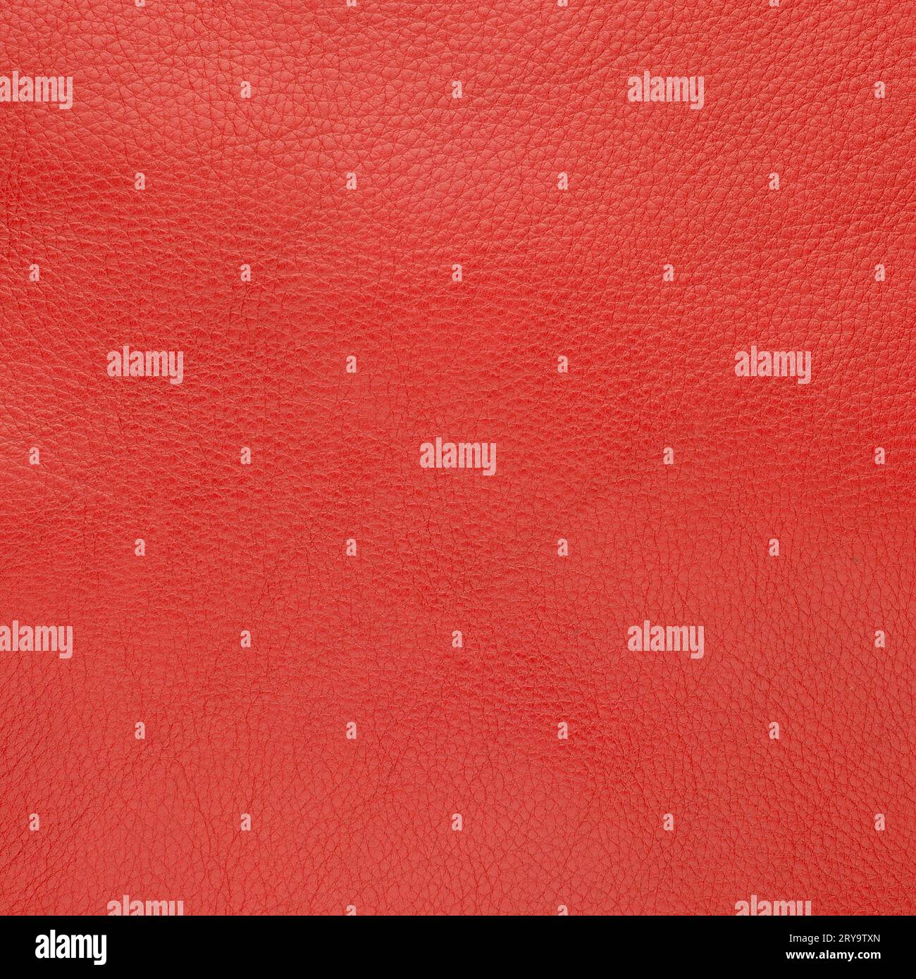 Pelle ruvida immagini e fotografie stock ad alta risoluzione - Alamy