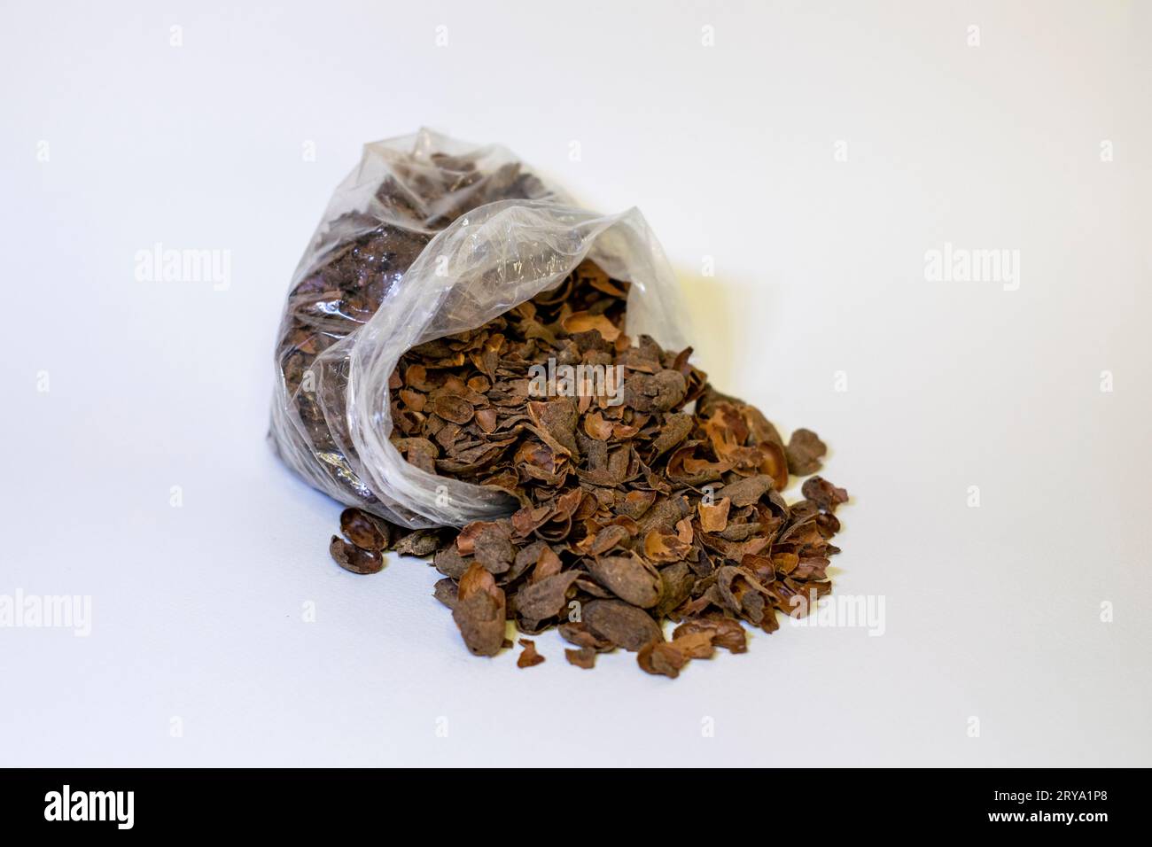 Sacchetto con bucce di cacao per preparare il tè. Foto Stock