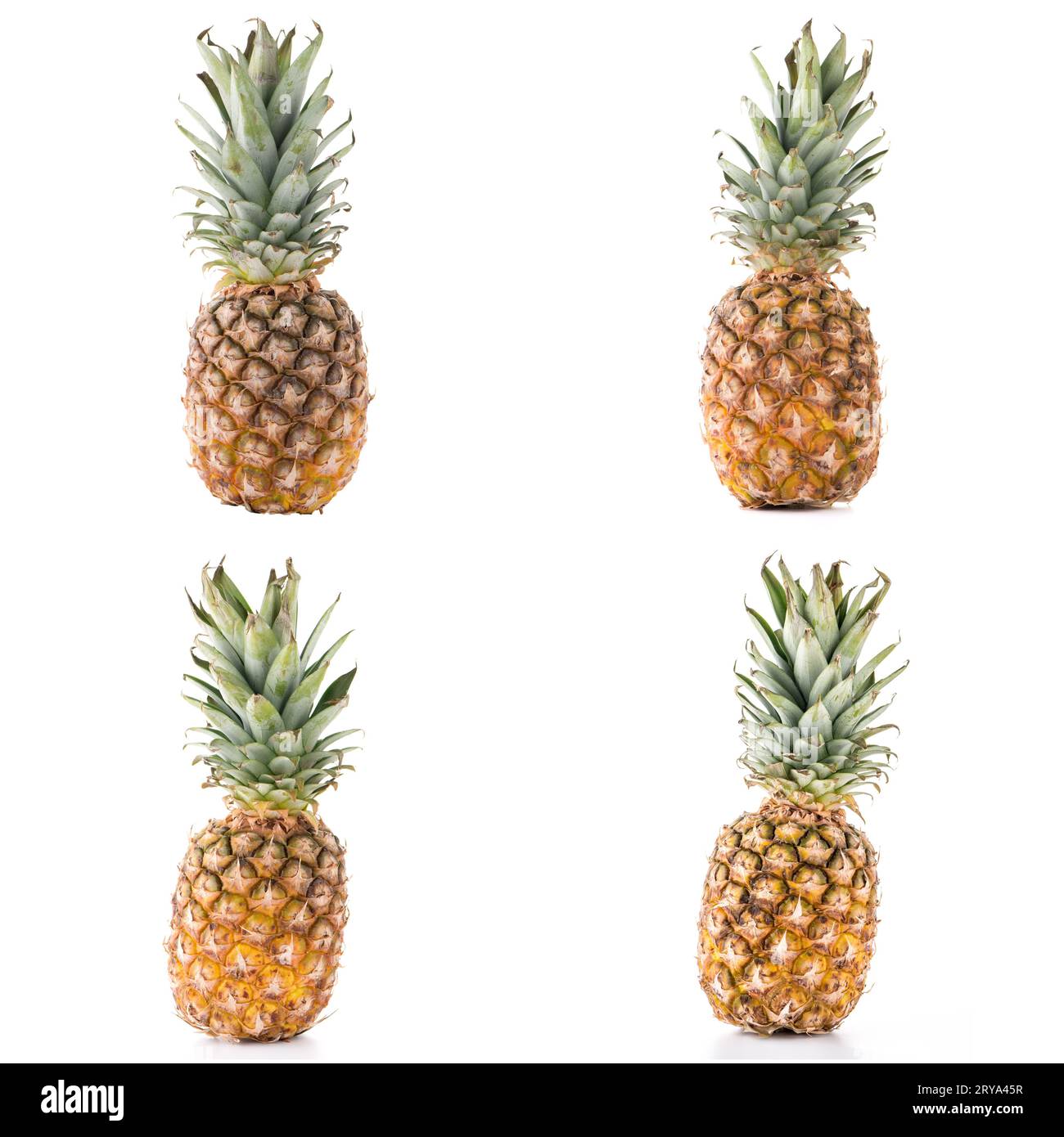 Ananas Foto Stock