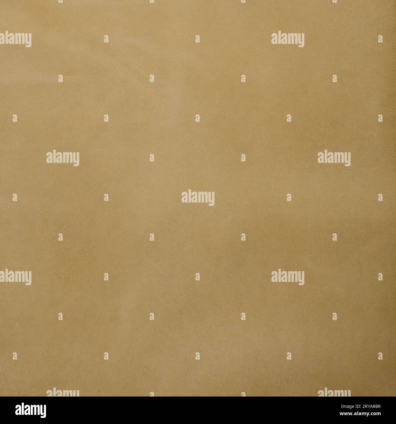 In pelle marrone Foto Stock