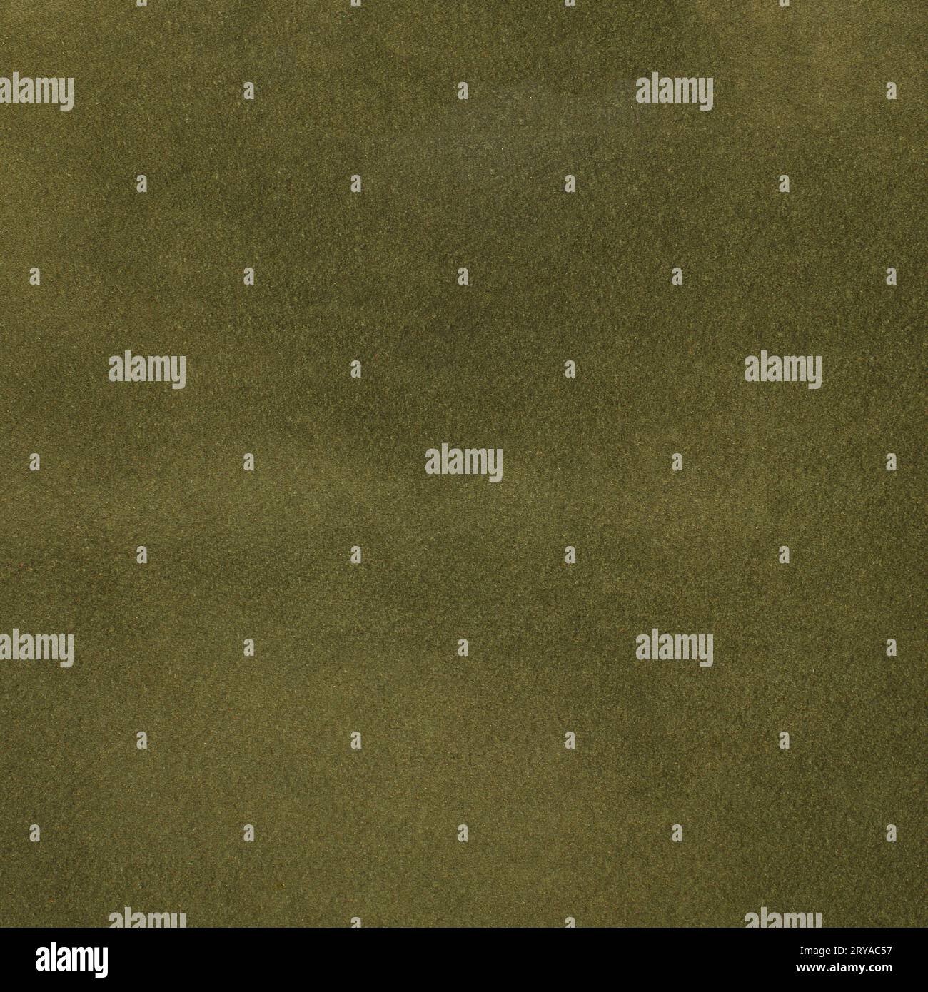 Pelle verde Foto Stock