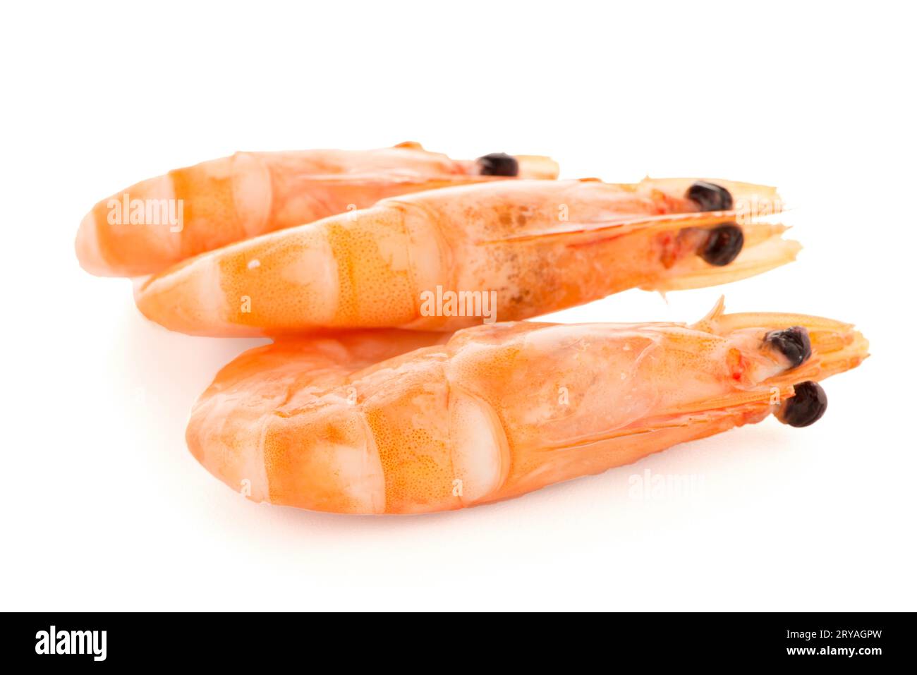 Tre gamberetti Foto Stock