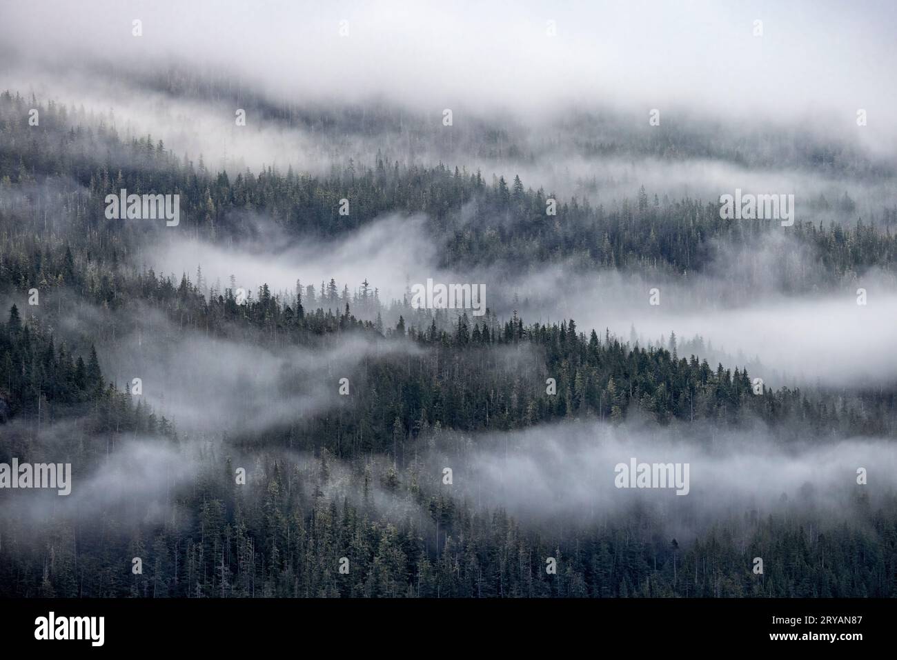 Spettacolare paesaggio nebbioso nel fiordo di Tracy Arm vicino a Juneau, Alaska, USA Foto Stock