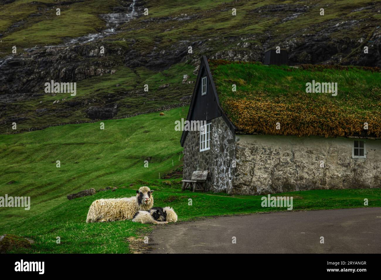 Saksun è un villaggio tradizionale faroese con case in erba sull'isola di Streymoy nelle Isole Faroe Foto Stock