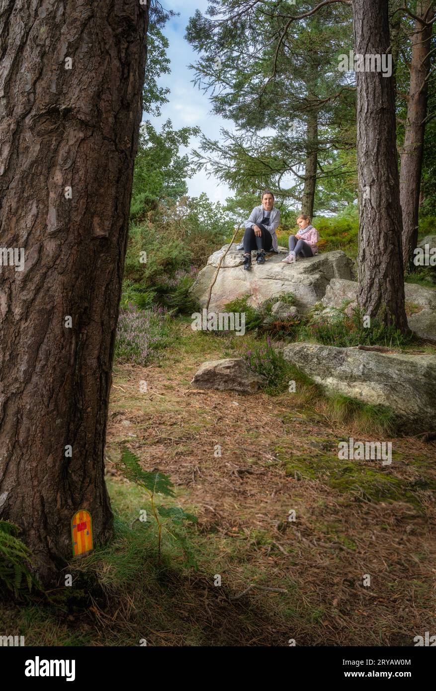 Madre e figlia sedute su una roccia nella pineta. Casa delle fate, porta, sul pino. Escursione in famiglia nelle miniere di Lead, Wicklow Mountains, Irlanda Foto Stock