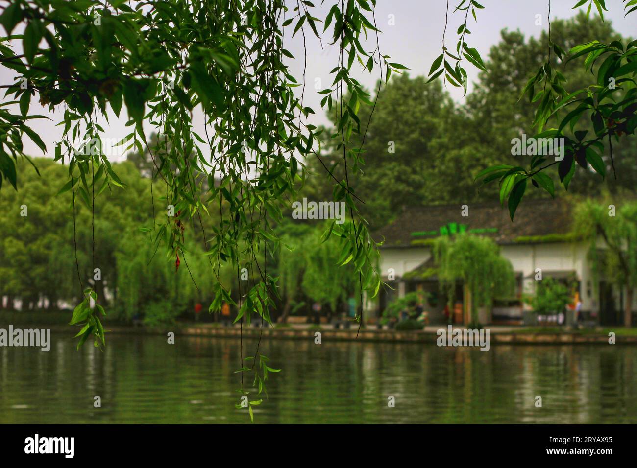 Evoca la tranquillità con questa pittoresca scena di un fiume sereno che si snoda tra lussureggianti alberi verdi nell'affascinante Cina Foto Stock