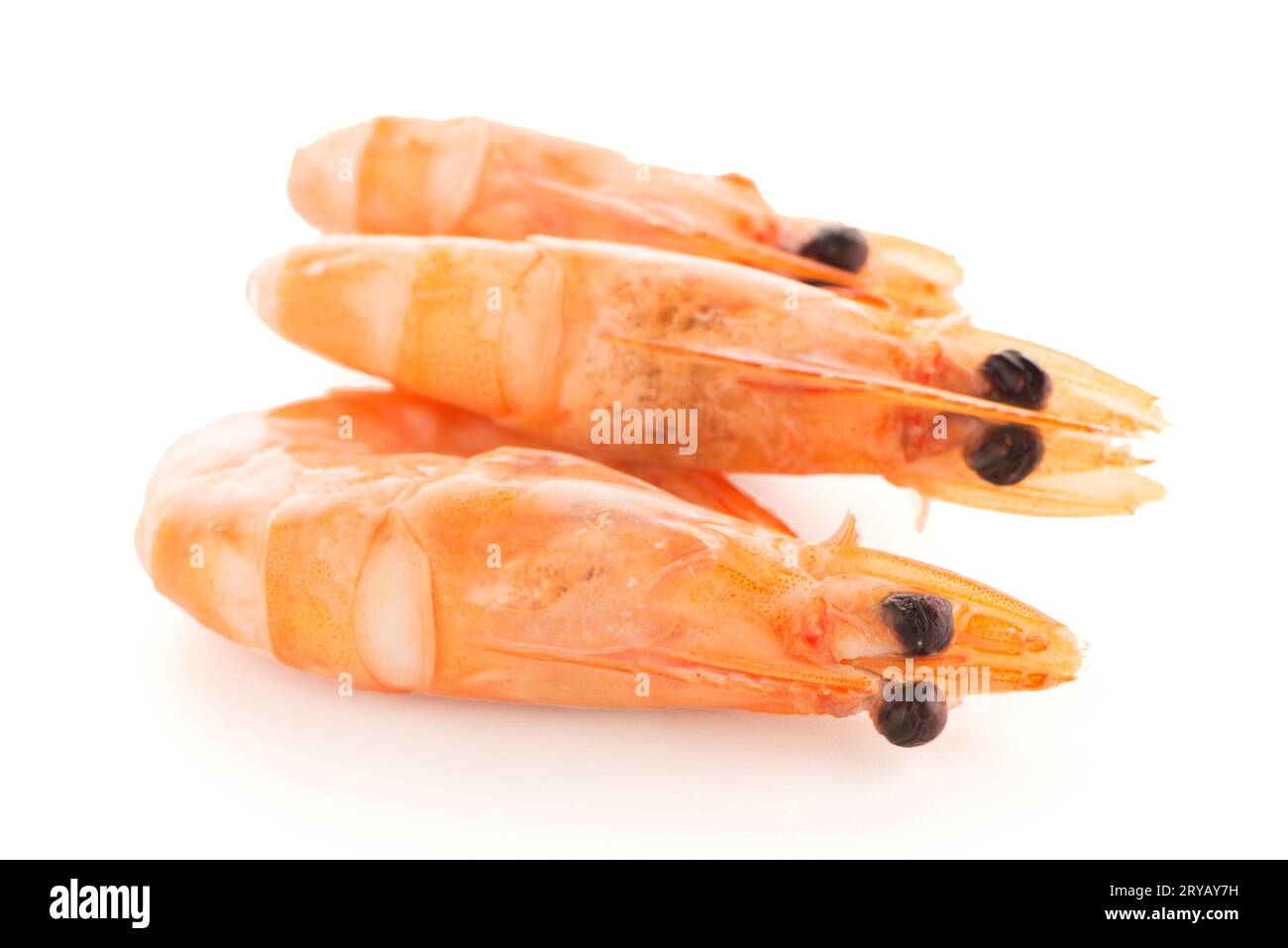 Tre gamberetti Foto Stock