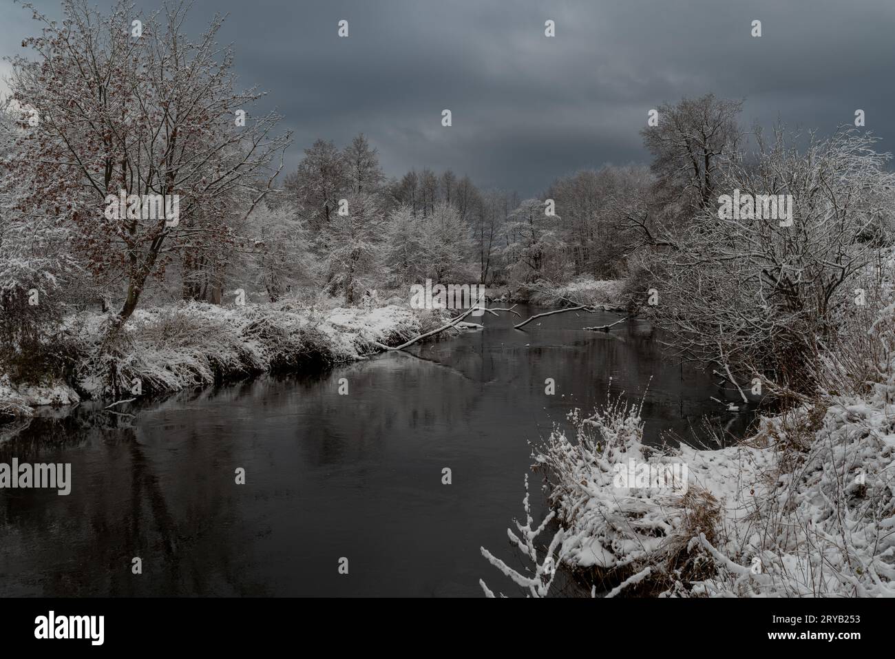 fiume in inverno Foto Stock