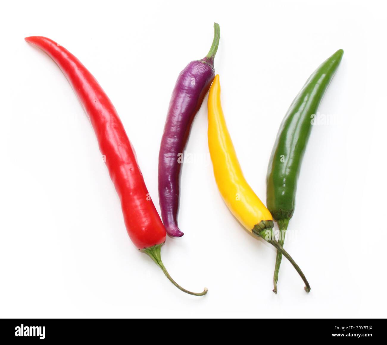 Lettera W fatta di peperoncino rosso verde viola giallo lettere alfabetiche ABC fatte di peperoncino, peperoni, per testi, enciclopedie, vegani gennaio Foto Stock