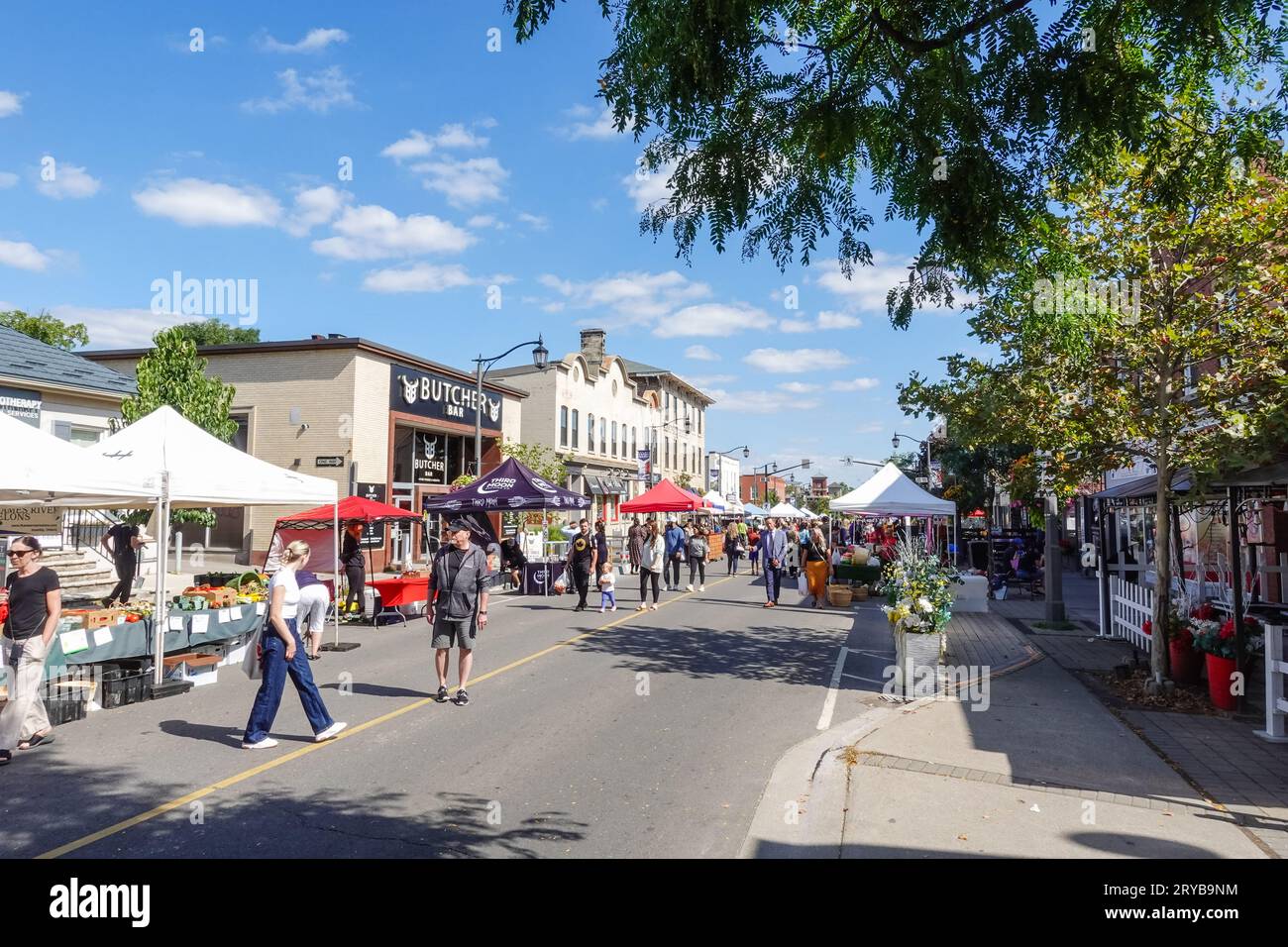Una strada chiusa per piccoli venditori ambulanti e agricoltori da vendere durante una soleggiata giornata di fine settimana a Milton, Ontario, Canada Foto Stock