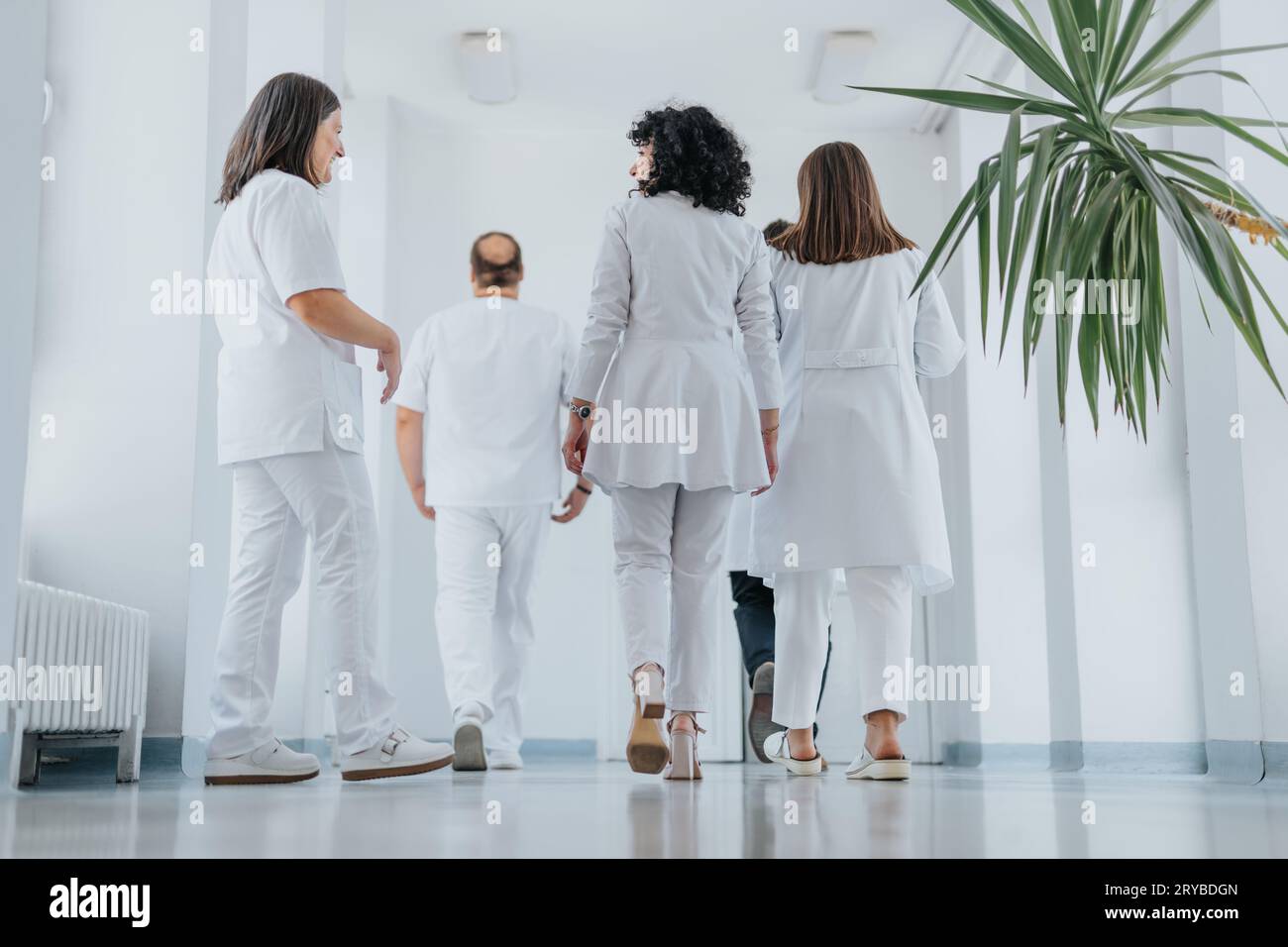 Un gruppo di medici fiduciosi, compreso uno specialista soddisfatto, cammina in un ospedale. La loro professionalità e il loro comportamento felice evidenziano il loro successo Foto Stock