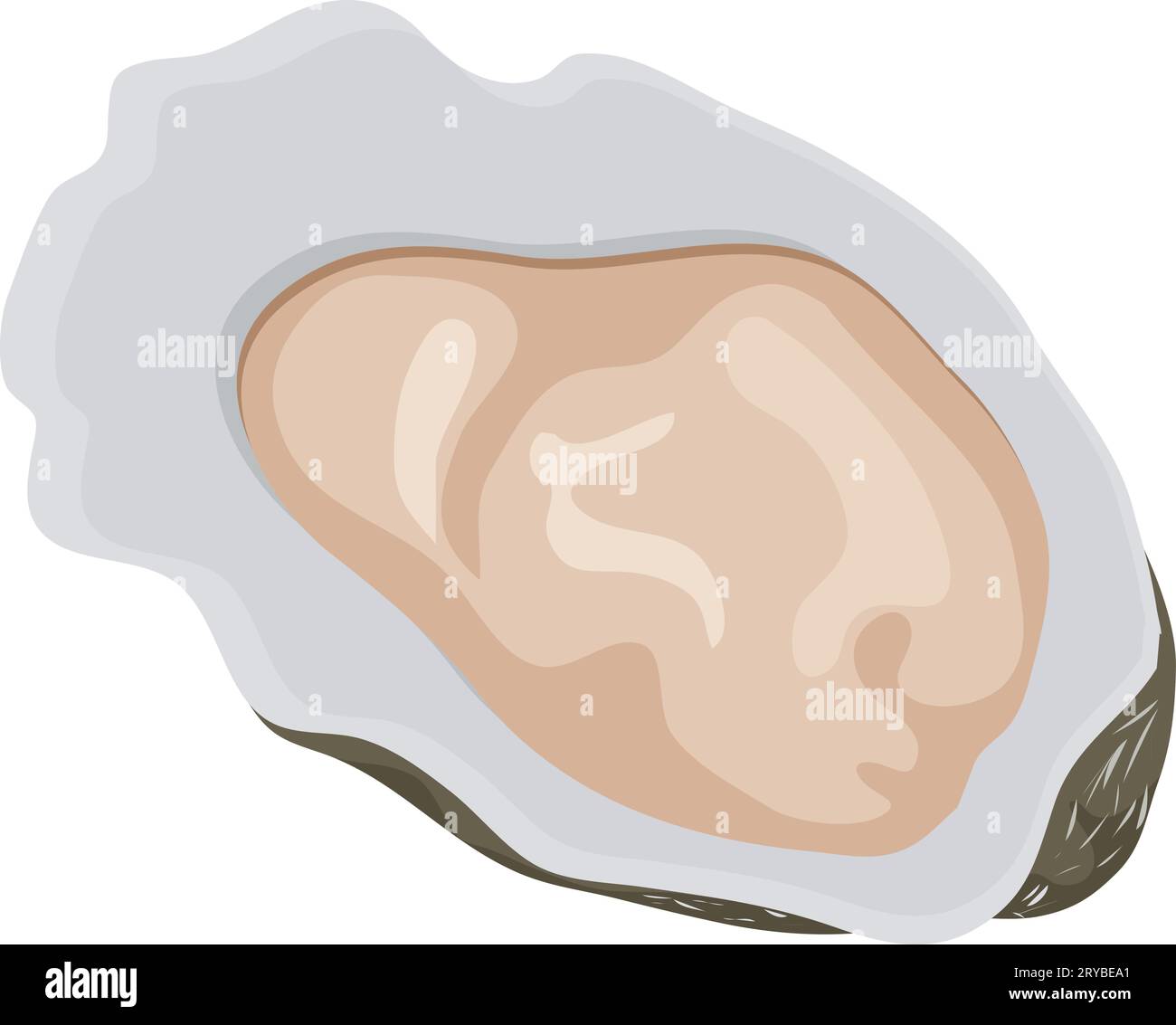 Ostriche di pesce fresco. Vita sottomarina, pesce sano, cartoni animati di cucina marina illustrazione vettoriale Illustrazione Vettoriale