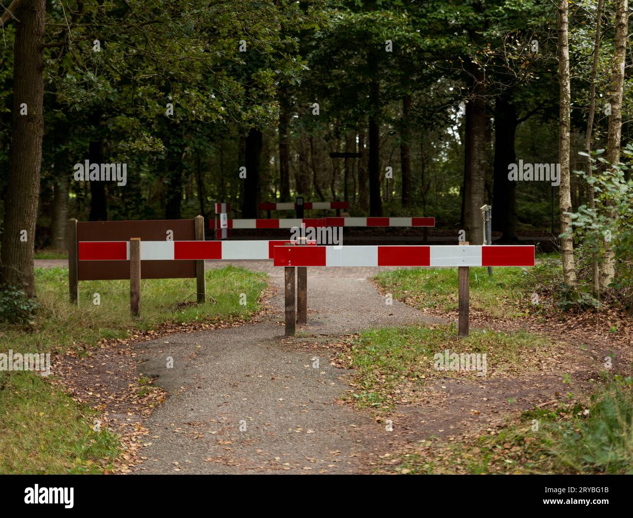 Tavole dipinte di rosso e bianco come tocco finale di una pista ciclabile nei Paesi Bassi nella foresta Foto Stock