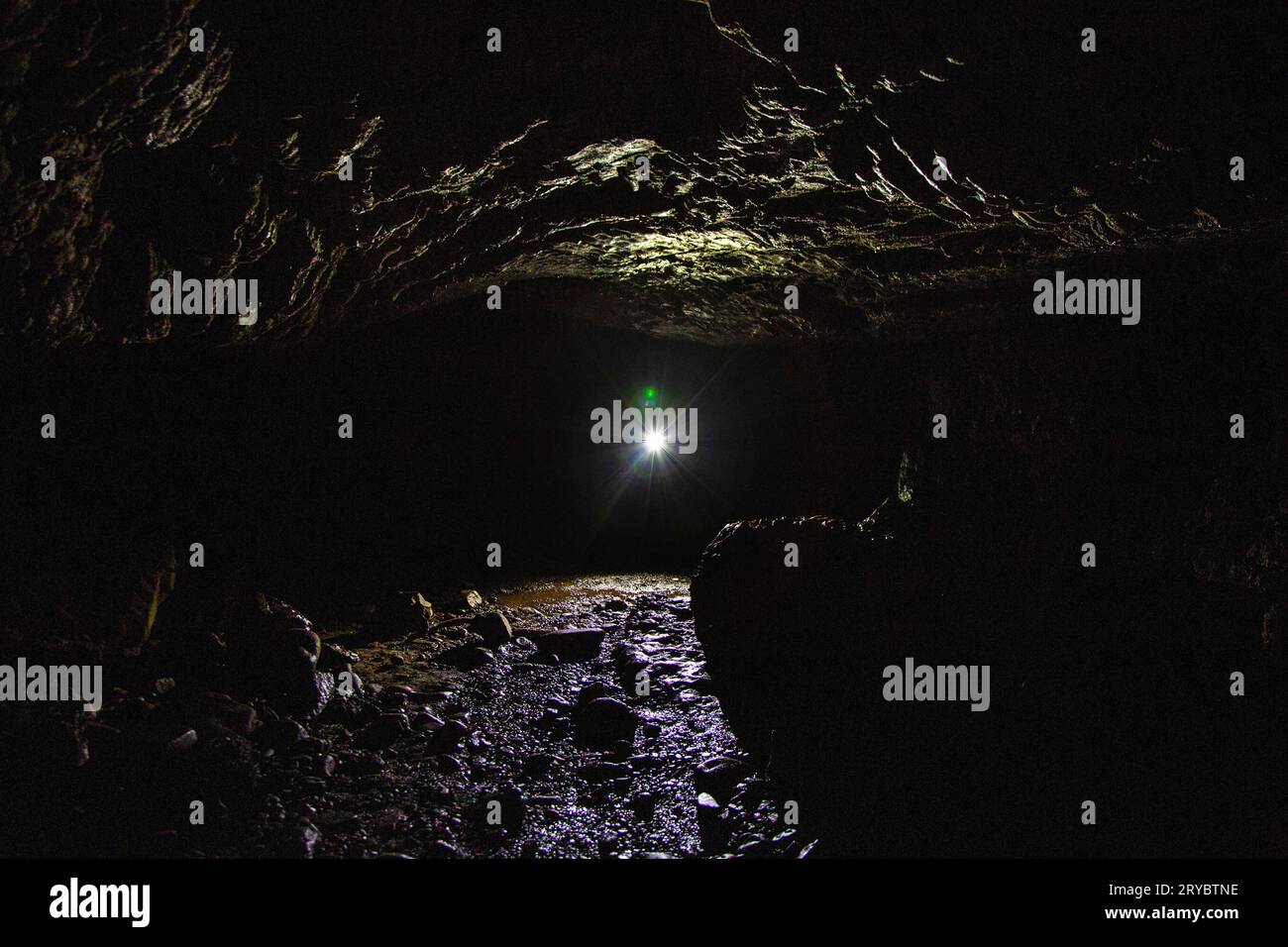 Porth Yr Ogof Cave on the Mellte River, Brecon Beacons National Park, Galles, Regno Unito Foto Stock