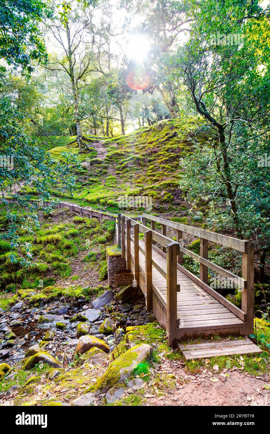 Sentiero escursionistico vicino al parcheggio Cwm Gwdi, punto di partenza Pen Y fan Trail, Brecon Beacons National Park, Galles, Regno Unito Foto Stock