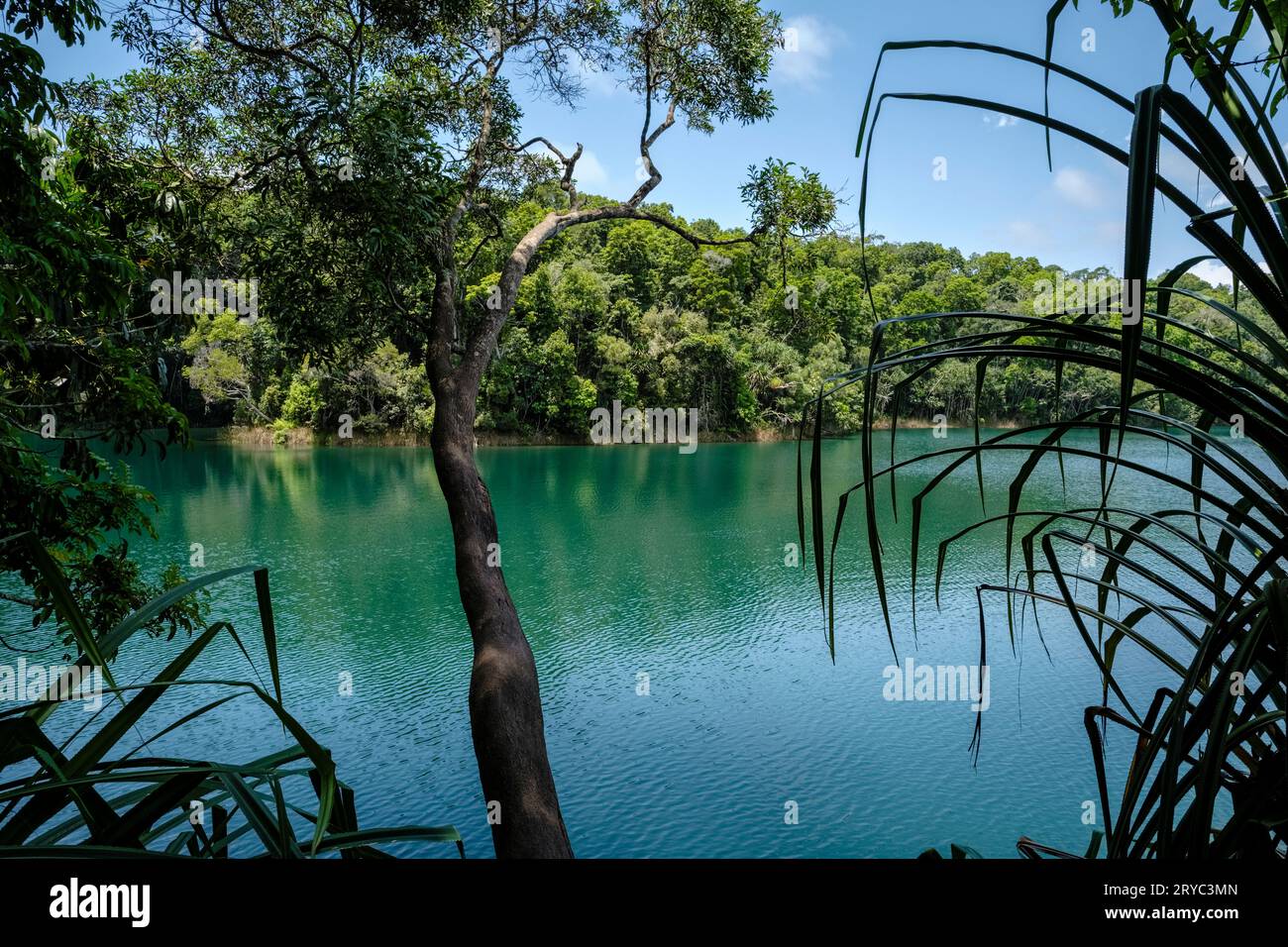 Lago Eacham, vicino a Yungaburra, Crater Lakes National Park, Atherton Tablelands, Queensland, Australia Foto Stock
