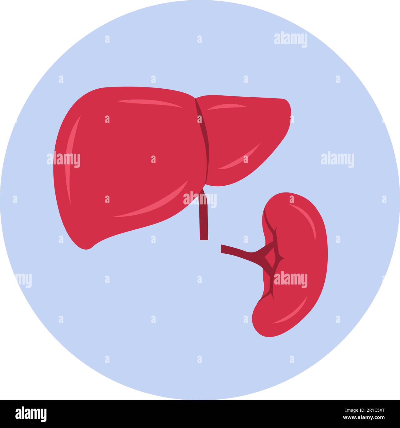 Ingrossamento del fegato e della milza, icona isolata Illustrazione Vettoriale