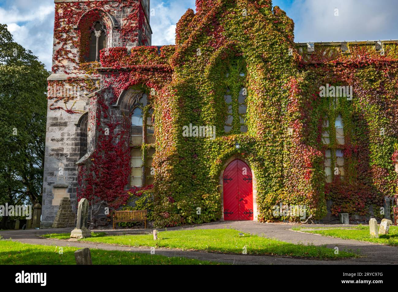 edera rossa autunnale che cresce sul muro di Liberton Kirk o Chiesa con porta rossa e cimitero, Edimburgo, Scozia, Regno Unito Foto Stock