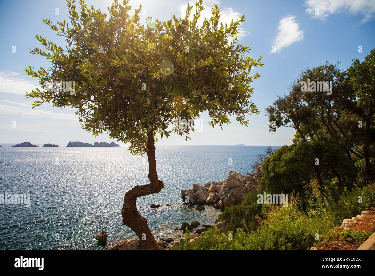 Passeggiata lungo il mare nella zona di Lapad a Dubrovnik Foto Stock