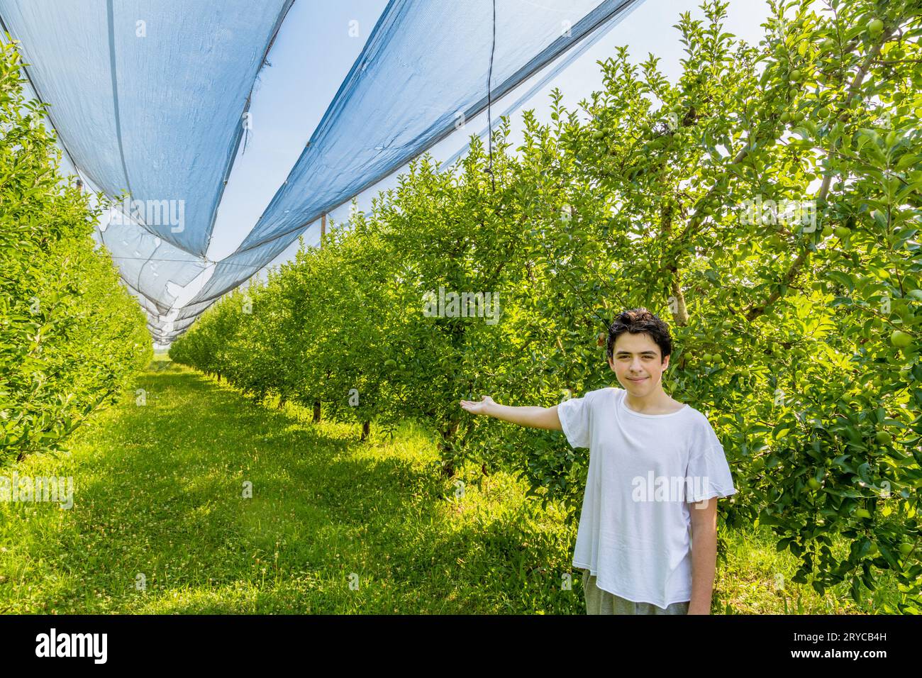 Adolescente vicino agli alberi di mele Foto Stock