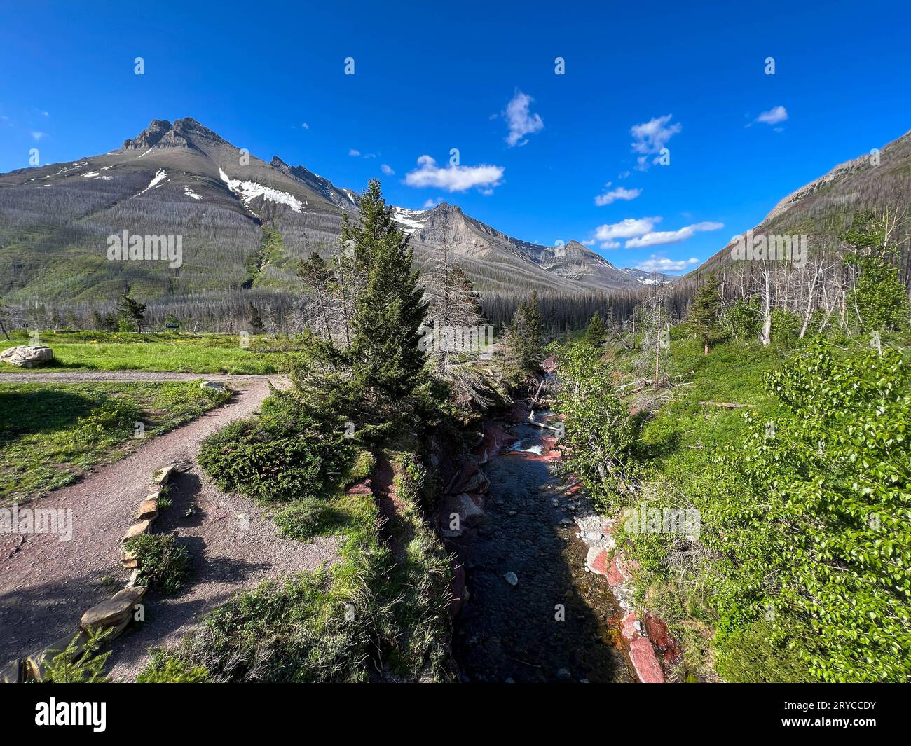 Red Rock Canyon nel Waterton Lakes National Park in Alberta Canada in una splendida giornata di sole. Foto Stock