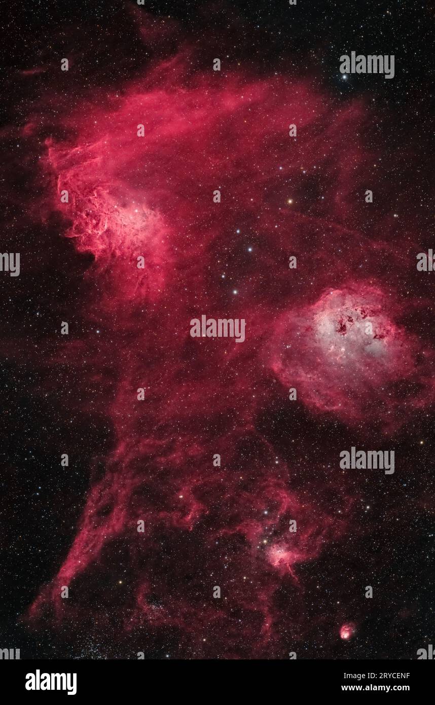 Nebulae in Auriga: Una Sinfonia cosmica. Tuffati nell'intricata danza delle nebulose Flaming Star, Tadpole, Spider e Fly. VAI Foto Stock