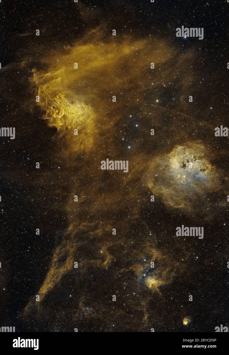 Nebulae in Auriga: Una Sinfonia cosmica. Tuffati nell'intricata danza delle nebulose Flaming Star, Tadpole, Spider e Fly. Hubble Foto Stock