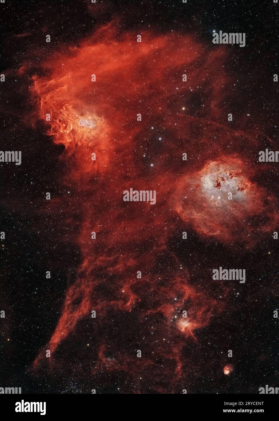 Nebulae in Auriga: Una Sinfonia cosmica. Tuffati nell'intricata danza di Flaming Star, Tadpole, Spider and Fly Nebulae Foraxx Foto Stock